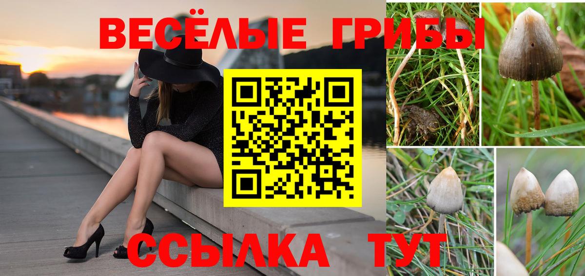 Псилоцибиновые грибы Magic Shrooms Мурманск